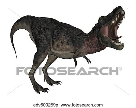 Tarbosaurus 恐竜 吠え声 白 バックグラウンド イラスト Edvp Fotosearch