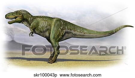 Tarbosaurus bataar, a prehistoric era dinosaur. View Large Illustration Stock Illustration - Tarbosaurus bataar, a prehistoric era dinosaur.. Fotosearch