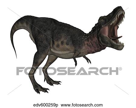 Tarbosaurus dinosaur roaring, white background. View Large Illustration Stock Illustration - Tarbosaurus dinosaur roaring, white background.. Fotosearch