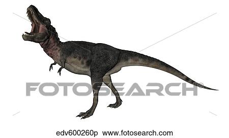 Tarbosaurus dinosaur roaring, white background. View Large Illustration Stock Illustration - Tarbosaurus dinosaur roaring, white background.. Fotosearch