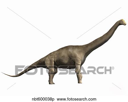 Tastavinsaurus sanzi, Early Cretaceous of Spain. View Large Illustration Stock Illustration - Tastavinsaurus sanzi, Early Cretaceous of Spain.. Fotosearch