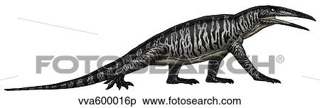 Stock Illustration - Teraterpeton, an archosauromorph from the late Triassic.. Fotosearch