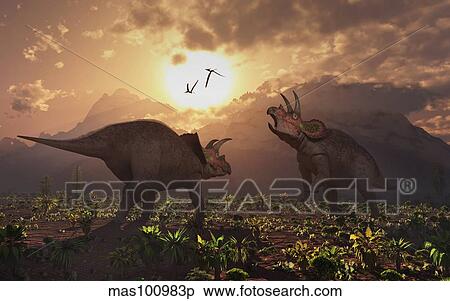 Territorial confrontation between two male Triceratops. View Large Illustration Stock Illustration - Territorial confrontation between two male Triceratops.. Fotosearch