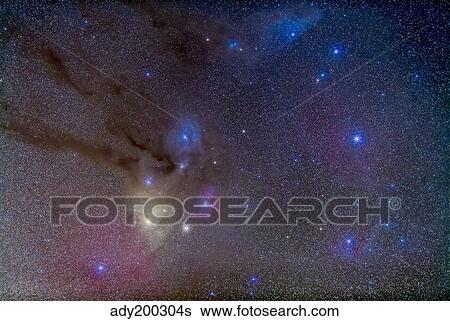 The area around the head of Scorpius. View Large Photo Image Stock Photograph - The area around the head of Scorpius.. Fotosearch