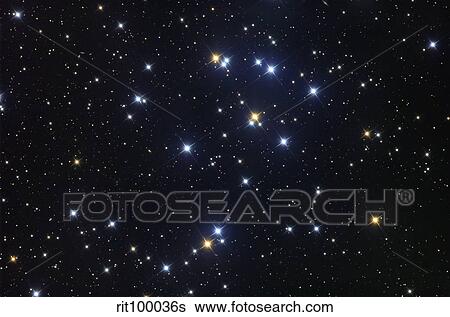 Stock Photograph - The Beehive Cluster. Fotosearch