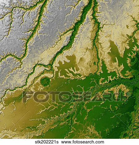 The Bolivian Amazon View Large Photo Image Stock Photograph - The Bolivian Amazon. Fotosearch
