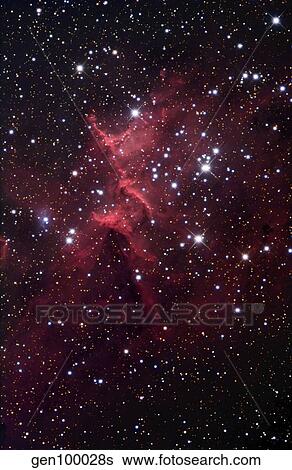 The bright star cluster known as Melotte 15. View Large Photo Image Stock Photograph - The bright star cluster known as Melotte 15.. Fotosearch