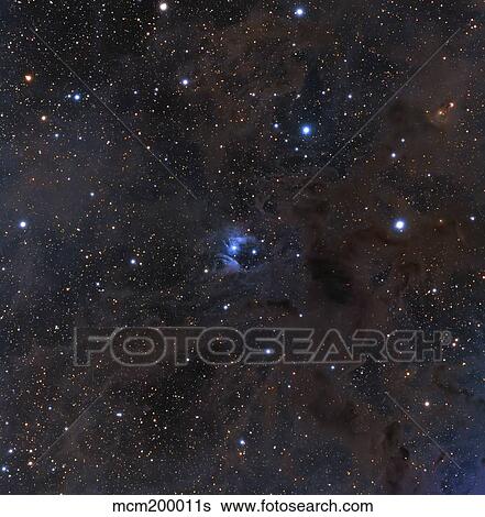 Stock Photograph - The bright star VdB 16, dust and nebulosity in the constellation Aries.. Fotosearch