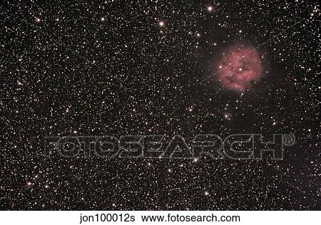 The Cocoon Nebula View Large Photo Image Stock Photograph - The Cocoon Nebula. Fotosearch