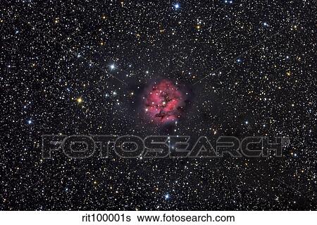 The Cocoon Nebula View Large Photo Image Stock Photograph - The Cocoon Nebula. Fotosearch