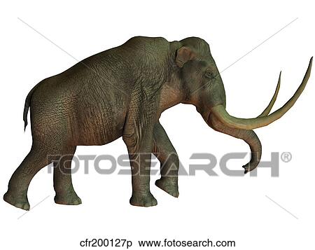 The Columbian mammoth, an extinct species of elephant. View Large Illustration Stock Illustration - The Columbian mammoth, an extinct species of elephant.. Fotosearch