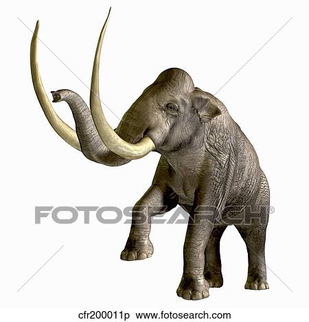 The Columbian Mammoth View Large Illustration Stock Illustration - The Columbian Mammoth. Fotosearch