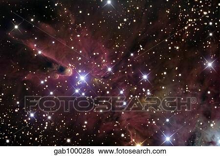The Cone Nebula and Christmas Tree Cluster View Large Photo Image Stock Photograph - The Cone Nebula and Christmas Tree Cluster. Fotosearch
