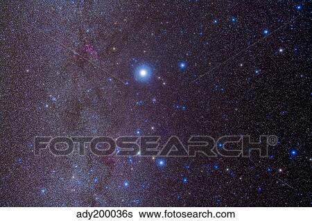 The constellation of Canis Major and nearby open clusters and nebulae. View Large Photo Image Stock Photograph - The constellation of Canis Major and nearby open clusters and nebulae.. Fotosearch