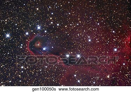 The Elephant Trunk Nebula View Large Photo Image Stock Photograph - The Elephant Trunk Nebula. Fotosearch
