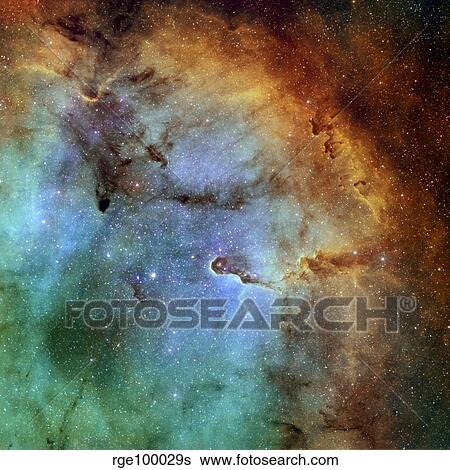 The Elephant Trunk Nebula View Large Photo Image Stock Photograph - The Elephant Trunk Nebula. Fotosearch