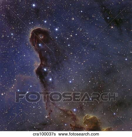 The Elephant's Trunk Nebula in the star cluster IC 1396. View Large Photo Image Stock Photograph - The Elephant's Trunk Nebula in the star cluster IC 1396.. Fotosearch