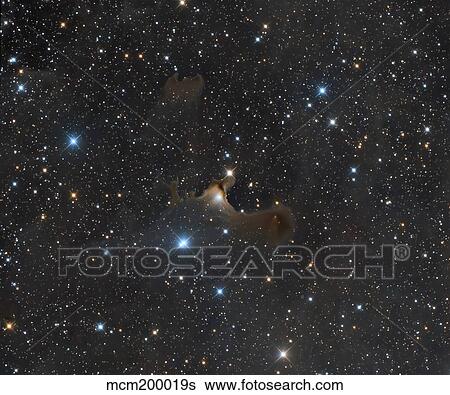 The Ghost Nebula, vdB 141 in the constellation Cepheus. View Large Photo Image Stock Photograph - The Ghost Nebula, vdB 141 in the constellation Cepheus.. Fotosearch