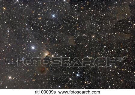 The Ghost Nebula (vdB141) View Large Photo Image Stock Photograph - The Ghost Nebula (vdB141). Fotosearch