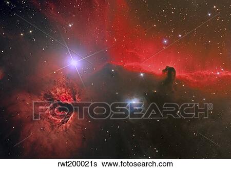 The Horsehead Nebula in the constellation Orion. View Large Photo Image Stock Photograph - The Horsehead Nebula in the constellation Orion.. Fotosearch