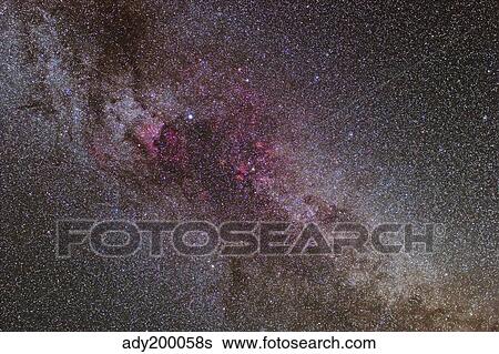 The North America Nebula and dark nebulae in Cygnus. View Large Photo Image Stock Photograph - The North America Nebula and dark nebulae in Cygnus.. Fotosearch