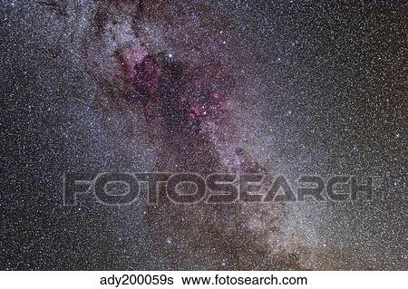 The North America Nebula and dark nebulae in Cygnus. View Large Photo Image Stock Photograph - The North America Nebula and dark nebulae in Cygnus.. Fotosearch