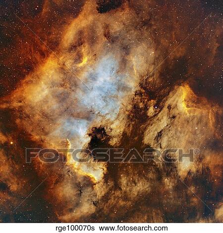 Stock Photograph - The North America Nebula and Pelican Nebula in Cygnus.. Fotosearch