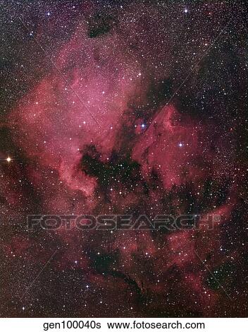 The North America Nebula View Large Photo Image Stock Photograph - The North America Nebula. Fotosearch