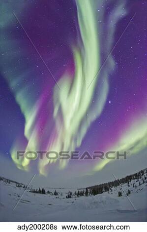 The Northern Lights in Churchill, Manitoba, Canada. View Large Photo Image Stock Photograph - The Northern Lights in Churchill, Manitoba, Canada.. Fotosearch
