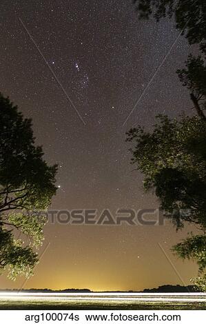 Stock Photograph - The Orion constellation between trees, Buenos Aires, Argentina.. Fotosearch