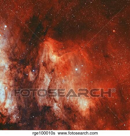 The Pelican Nebula View Large Photo Image Stock Photograph - The Pelican Nebula. Fotosearch