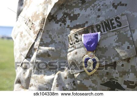 Picture - The Purple Heart award hangs over the heart of a U. S. Marine.. Fotosearch