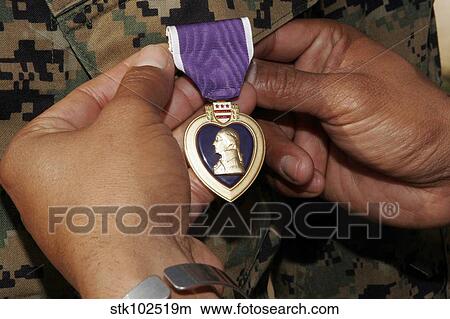 The Purple Heart Award. View Large Photo Image Picture - The Purple Heart Award.. Fotosearch