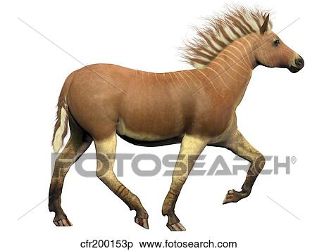 The Quagga is an extinct subspecies of the plains zebra. View Large Illustration Stock Illustration - The Quagga is an extinct subspecies of the plains zebra.. Fotosearch