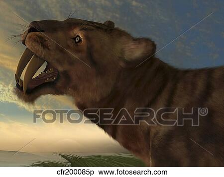 Stock Illustration - The Saber-Tooth Cat with dagger like front canine teeth.. Fotosearch