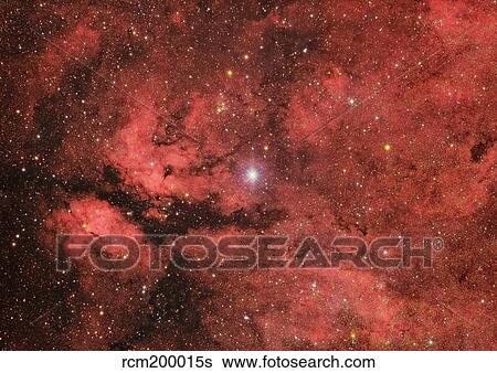 The Sadr region in the constellation Cygnus. View Large Photo Image Stock Photograph - The Sadr region in the constellation Cygnus.. Fotosearch