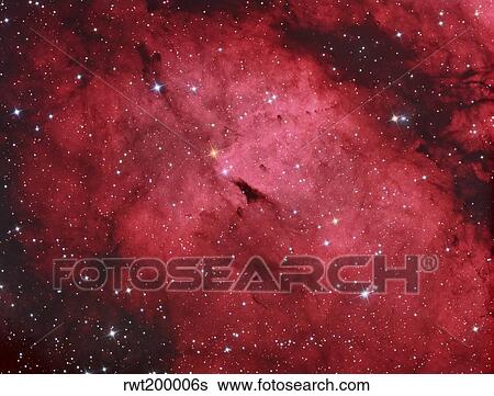 Stock Photograph - The Sadr region in the constellation Cygnus.. Fotosearch