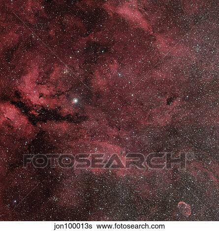 The Sadr region with the Crescent Nebula. View Large Photo Image Stock Photograph - The Sadr region with the Crescent Nebula.. Fotosearch