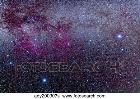 The southern Milky Way and the extensive Gum Nebula complex. View Large Photo Image Stock Photograph - The southern Milky Way and the extensive Gum Nebula complex.. Fotosearch