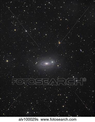 The Sunflower Galaxy View Large Photo Image Stock Photograph - The Sunflower Galaxy. Fotosearch