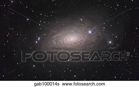 The Sunflower Galaxy View Large Photo Image Stock Photograph - The Sunflower Galaxy. Fotosearch