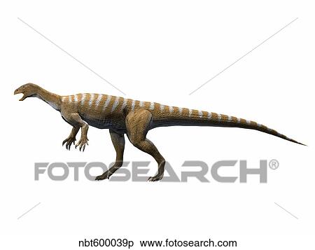 Thecodontosaurus antiquus, Late Triassic of The United Kingdom. View Large Illustration Stock Illustration - Thecodontosaurus antiquus, Late Triassic of The United Kingdom.. Fotosearch