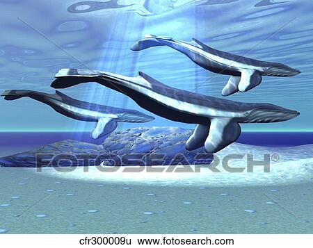 Stock Illustration - Three blue whales move through their protected territory.. Fotosearch