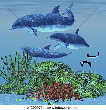Three dolphins swim around a reef area looking for fish to eat. View Large Illustration Stock Illustration - Three dolphins swim around a reef area looking for fish to eat.. Fotosearch