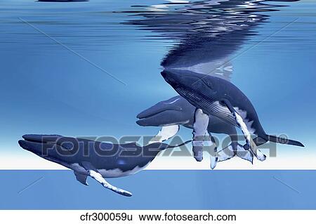 Three humpback whales rest near the ocean surface. View Large Illustration Stock Illustration - Three humpback whales rest near the ocean surface.. Fotosearch