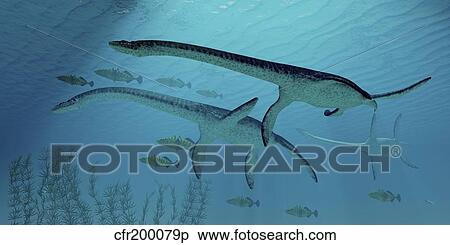 Stock Illustration - Three Plesiosaurus dinosaurs migrate with a school of fish.. Fotosearch