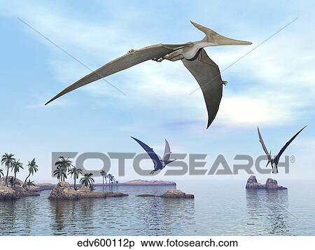 Three pteranodons flying over landscape with hills, palm trees and water. View Large Illustration Stock Illustration - Three pteranodons flying over landscape with hills, palm trees and water.. Fotosearch