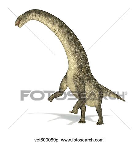 Stock Illustration - Titanosaurus dinosaur on white background.. Fotosearch