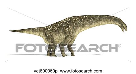 Titanosaurus dinosaur on white background. View Large Illustration Stock Illustration - Titanosaurus dinosaur on white background.. Fotosearch