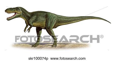 Stock Illustration - Torvosaurus tanneri, a prehistoric era dinosaur.. Fotosearch